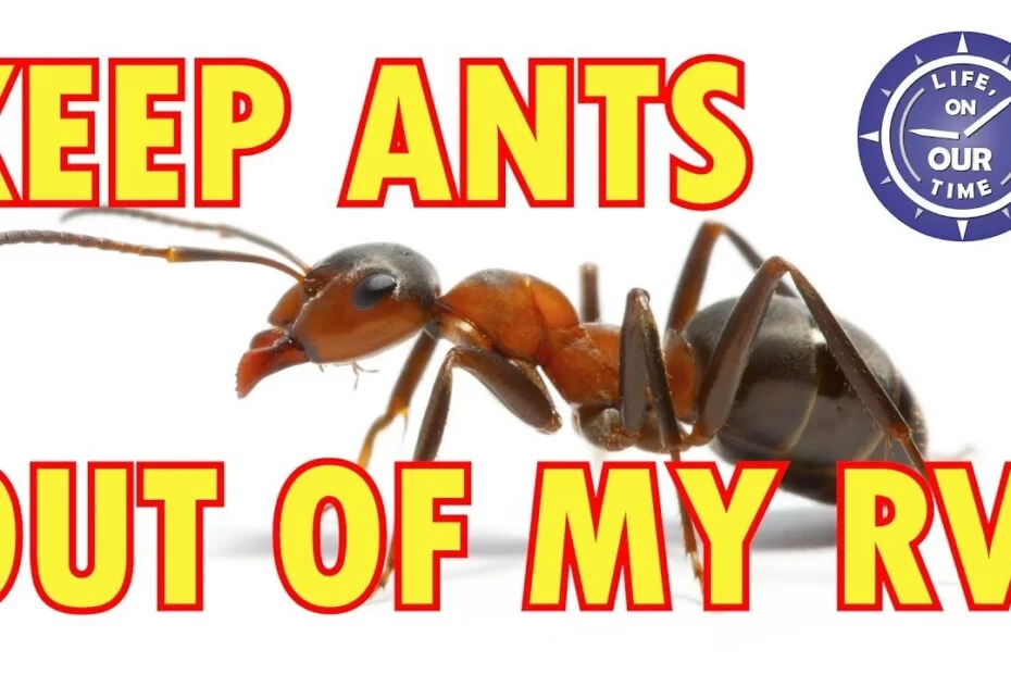 Keep Ants Out of Your Rv This Summer